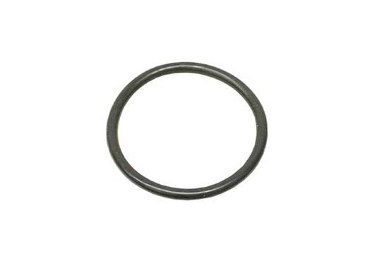 Auto Trans Filter O-Ring